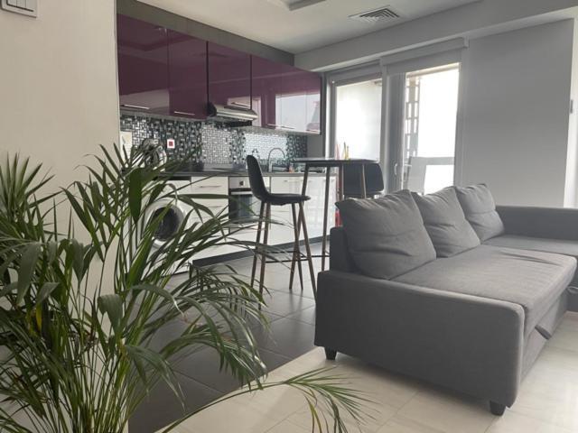 Cayan Tower Luxury Apartment With Sea View Dubái Exterior foto